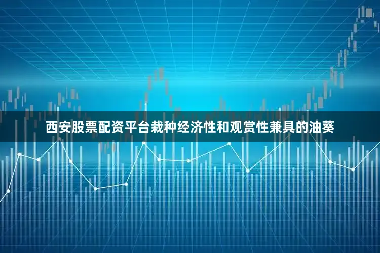 西安股票配资平台栽种经济性和观赏性兼具的油葵