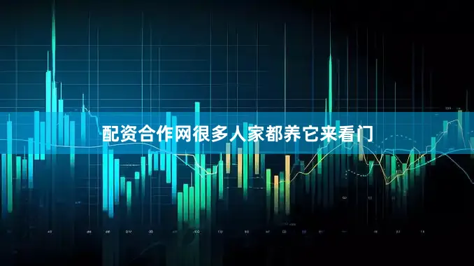 配资合作网很多人家都养它来看门