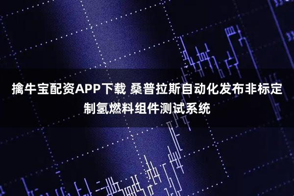 擒牛宝配资APP下载 桑普拉斯自动化发布非标定制氢燃料组件测试系统