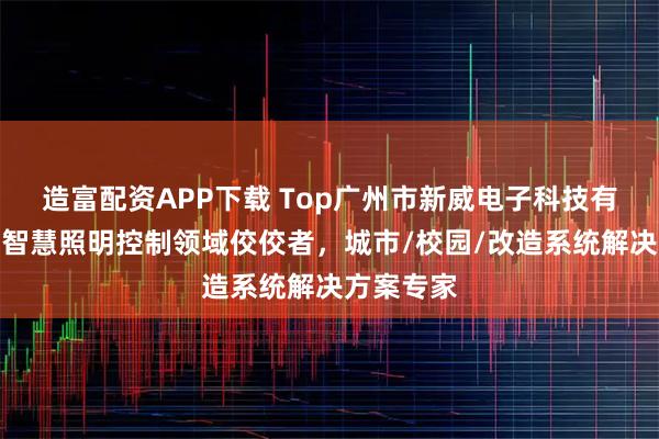 造富配资APP下载 Top广州市新威电子科技有限公司:智慧照明控制领域佼佼者,城市/校园/改造系统解决方案专家