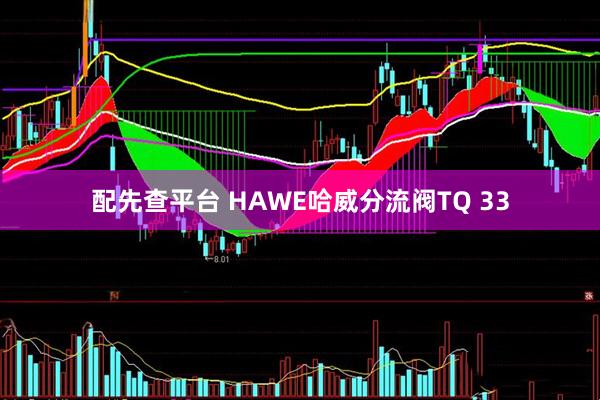 配先查平台 HAWE哈威分流阀TQ 33