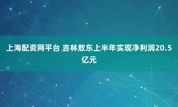 上海配资网平台 吉林敖东上半年实现净利润20.5亿元