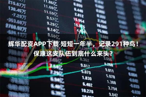 辉华配资APP下载 短短一年半，记录291种鸟！保康这支队伍到底什么来头？