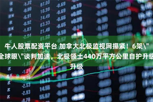 牛人股票配资平台 加拿大北极监视网攥紧！6架